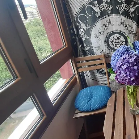 Apartmán El Balcoen De Aviles, Acogedor Con Garaje En Centro Historico,