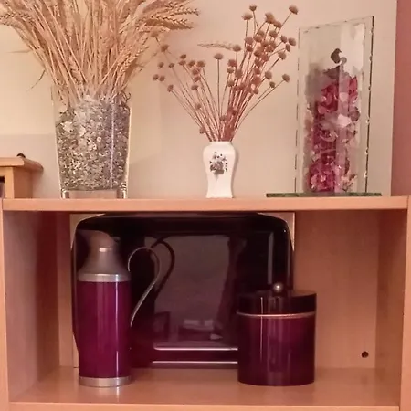 El Balcoen De Aviles, Acogedor Con Garaje En Centro Historico, Daire *