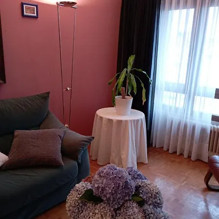 Apartment El Balcoen De Aviles, Acogedor Con Garaje En Centro Historico, Aviles