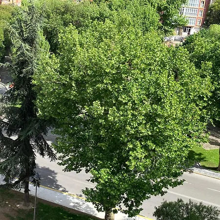 El Balcoen De Aviles, Acogedor Con Garaje En Centro Historico, *
